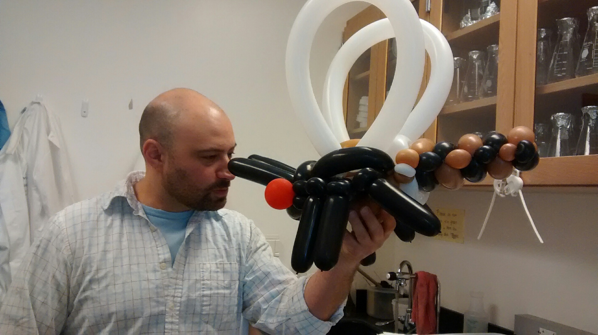 Picture of Dr. Sean Prager